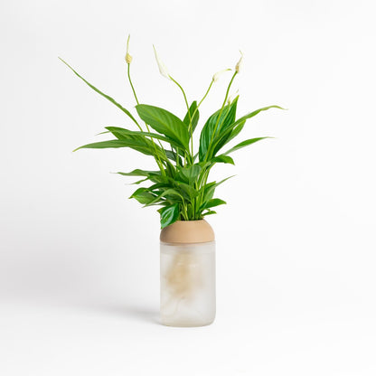 Macetero Transparente Citysens Con Soporte De Pino – Blanco Matizado, Vidrio Reutilizado Y Biofilamento De Madera 3d_0