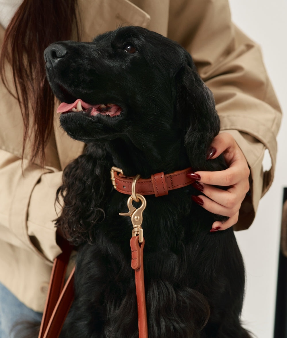 Cafide Collar De Cuero Vegano Marrón. Modelo Jala._1