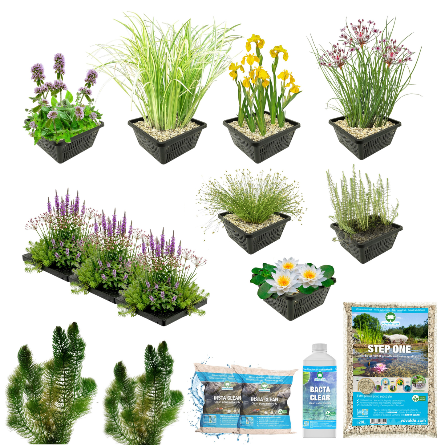 Pack Completo Estanque Autóctono 1.500-3.000l - Oxigenantes & Ribera - 200l_2