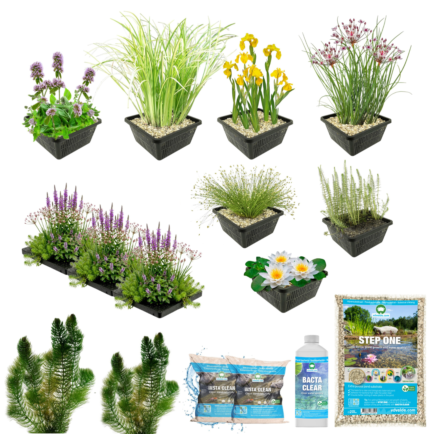 Pack Completo Estanque Autóctono 1.500-3.000l - Oxigenantes & Ribera - 200l_2