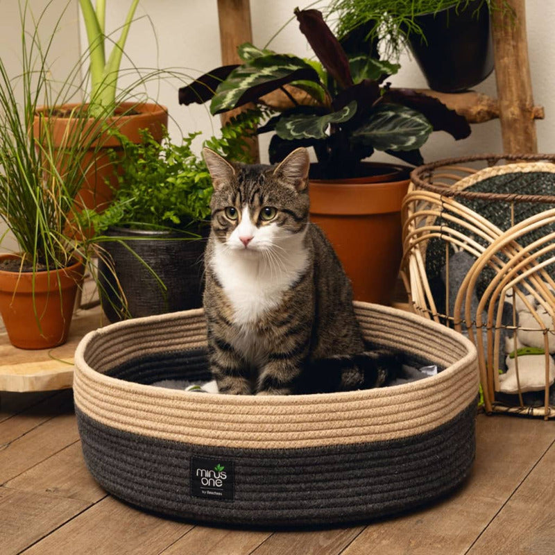 Beeztees Cama Para Gatos Minus One Xana 45x14 Cm Gris Y Marrón_1