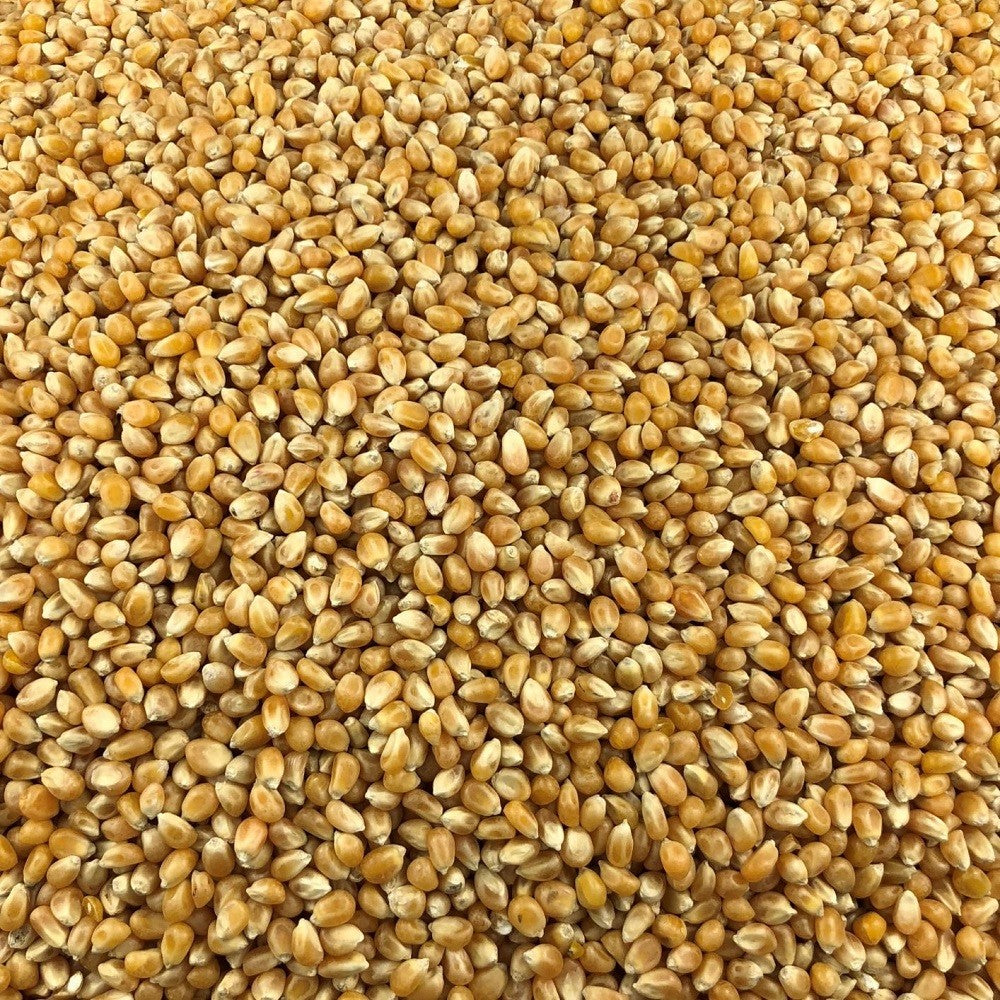 Palomitas De Maíz Ecológicas Granel 0,25 Kg_2