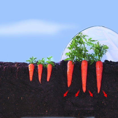 Película Climafilm Nortene 2 x 10 m para o cultivo precoce de hortícolas