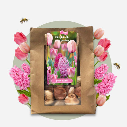 Mezcla De Bulbos De Flor - 25 Pzs - Tulipa Hyacinthus - Bulbos De Flores_4
