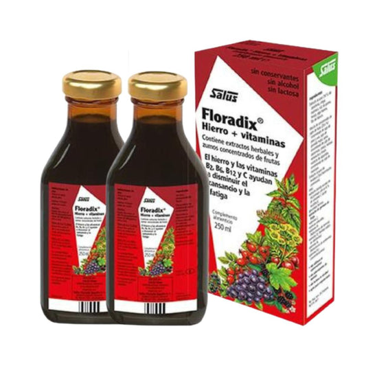 Embalagem de 2 xaropes de ferro Floradix Salus 500 ml