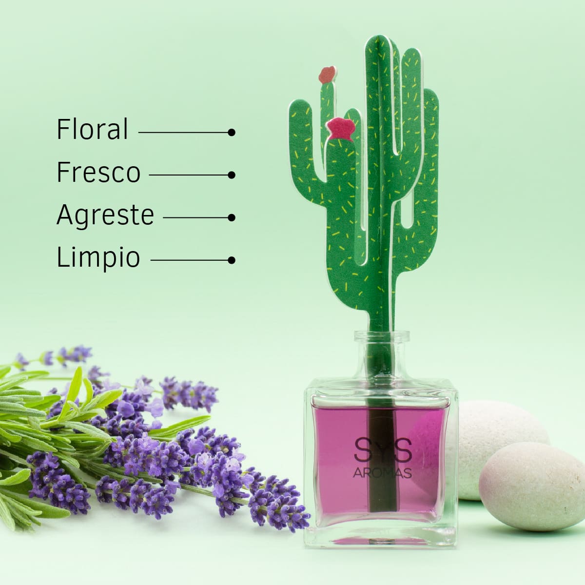 Difusor de Varillas Cactus Lavanda 90 ml | Aroma Floral Relajante | Mikado Decorativo | Ambiente Calmante_2