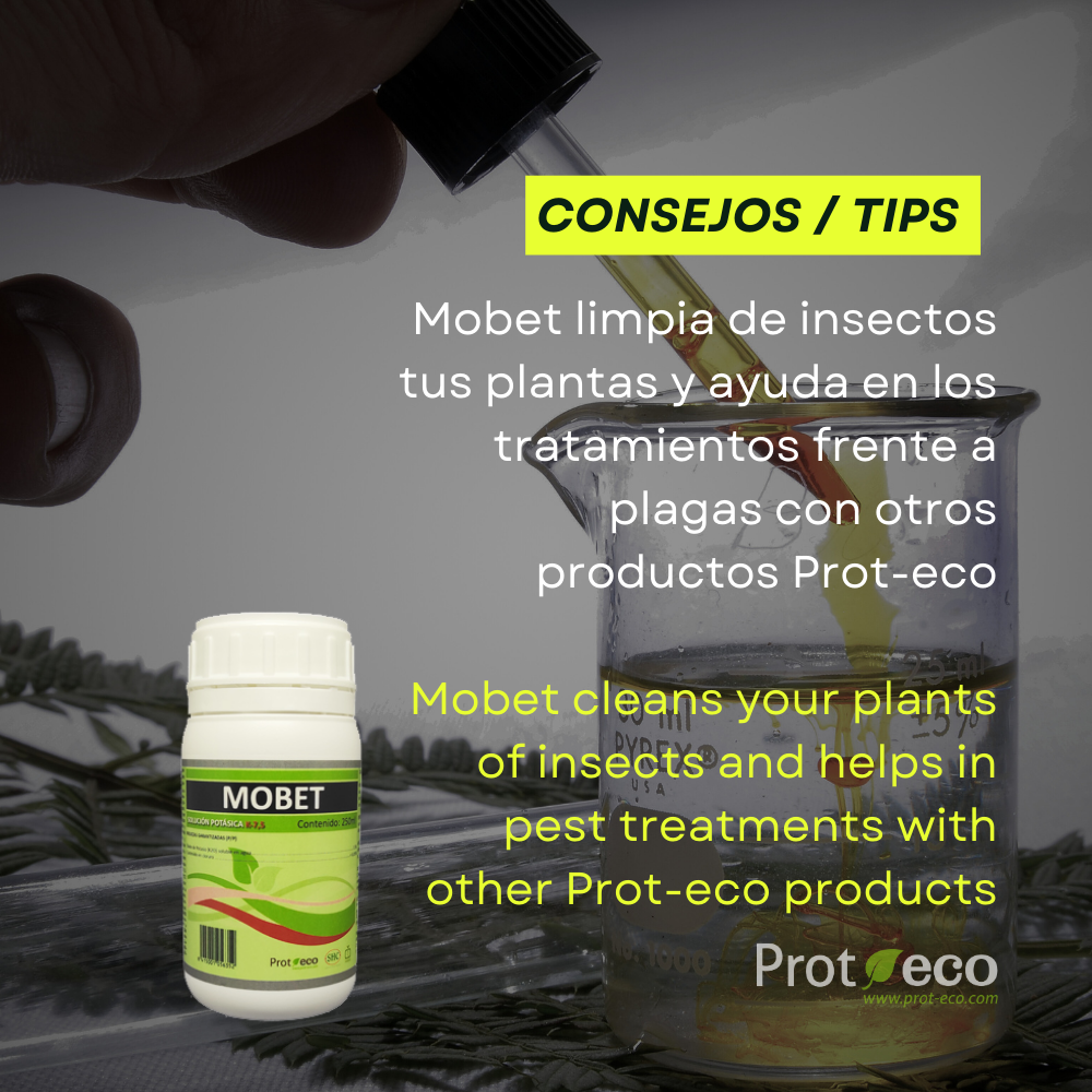 Jabón potásico ecológico para plantas Mobet Prot-Eco (100 ml)+pipeta dosificadora 5ml gratis_2