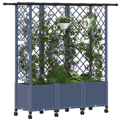 Cama Elevada Con Trellis Y Techo Gris 163,5 X 40 X 142 Cm Pp_2