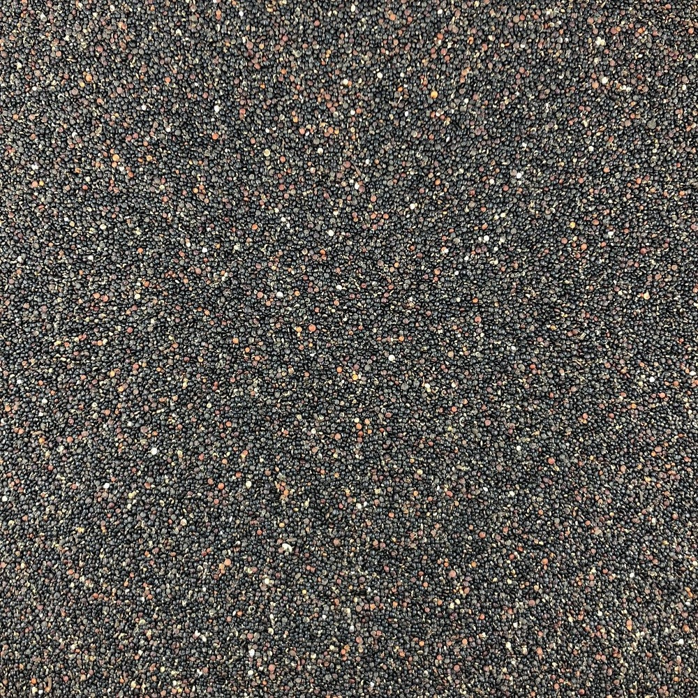 Quinoa Negra Orgánica A Granel 25 Kg_2