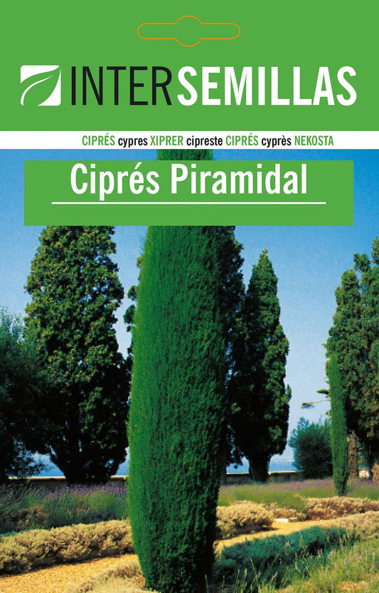 Sobre De Semillas De Cipres Piramidal_0