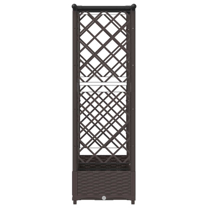 Cama Elevada Con Trellis Y Techo Marrón 164 X 40 X 121 Cm Pp_3