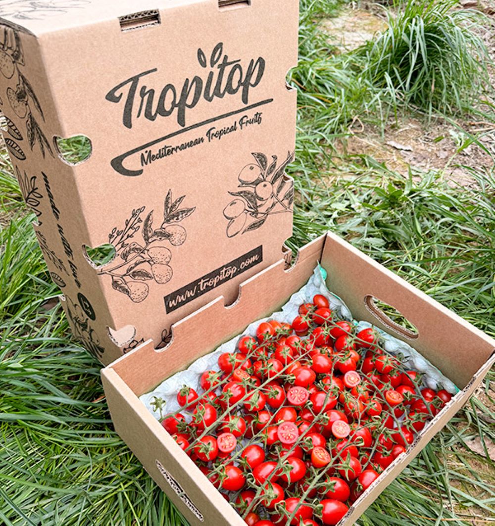 Caja De Tomates Cherry En Rama Tropitop Caja De 2kg_2