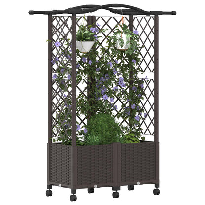 Cama Elevada Con Trellis Y Techo Marrón 122 X 40 X 144 Cm Pp_2
