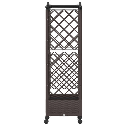 Cama Elevada Con Trellis Y Techo Marrón 124 X 40 X 129 Cm Pp_4