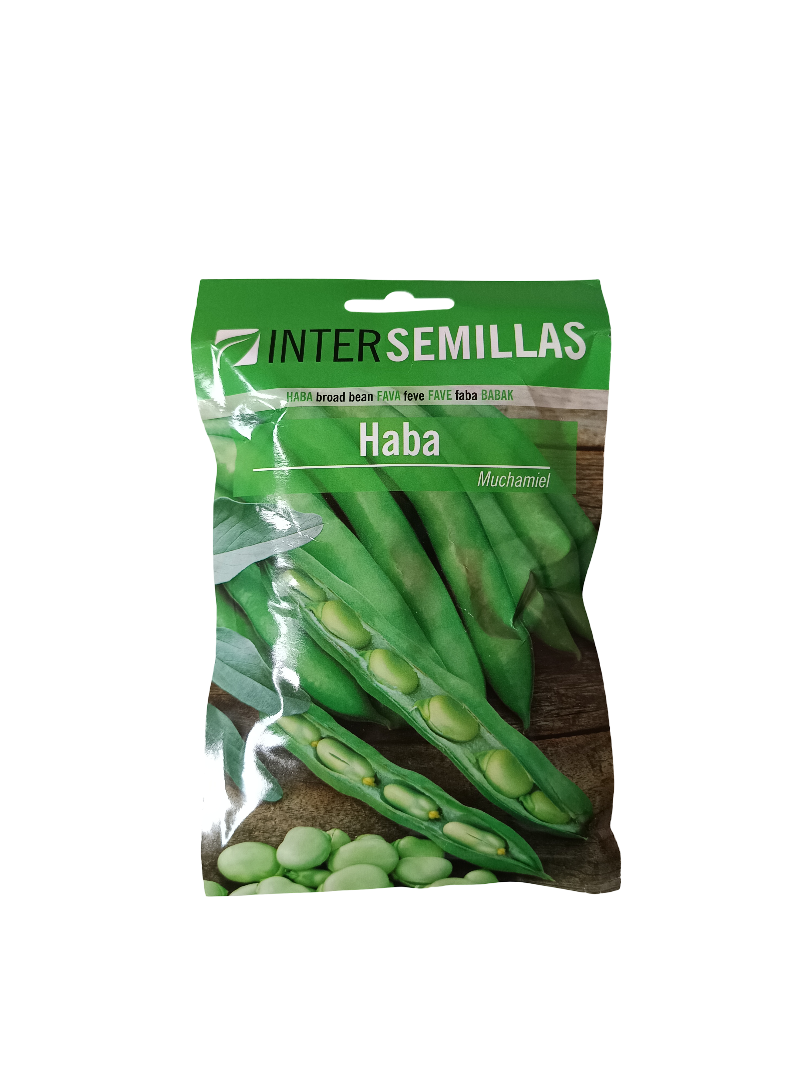 Semillas De Haba Variedad Muchamiel 100 Gr._0