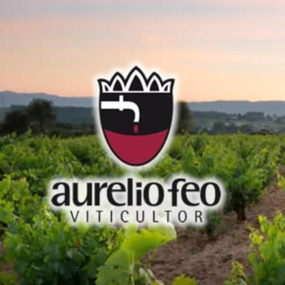 Vino Tinto - Montelios - Mencía Centenaria 2014_2