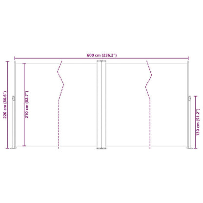 Vidaxl Toldo Lateral Retráctil Antracita 200x600 Cm_2