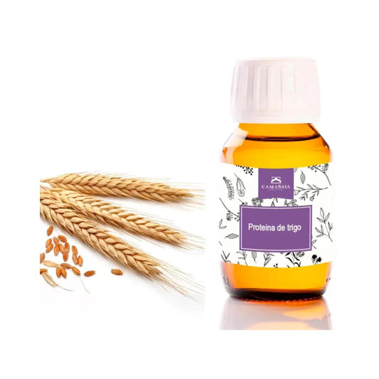 Proteína de trigo, 50 ml. Camassia
