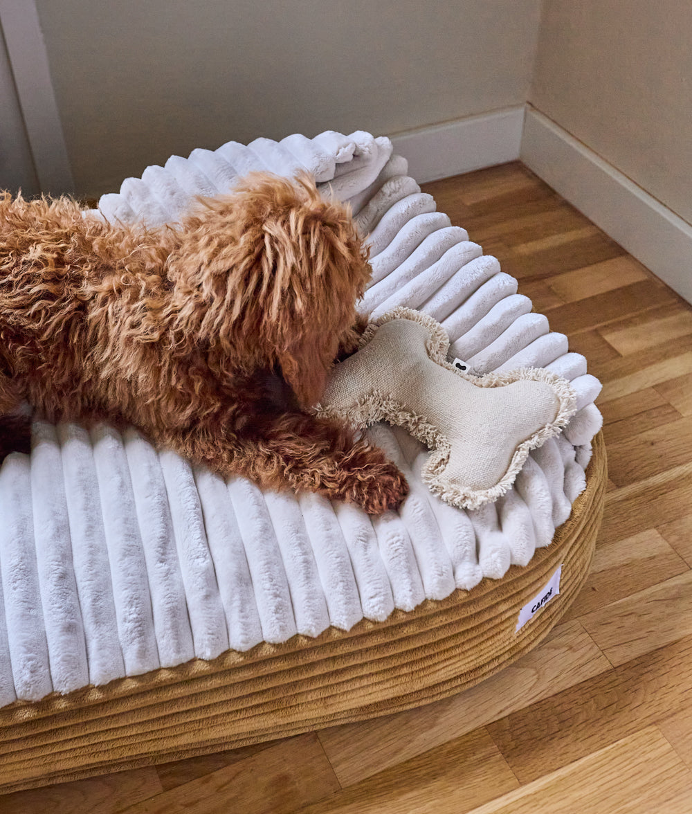 Cafide Cama Con Capucha Para Perro Con Tejido De Pana Naranja. Modelo Maso. Talla S (50x60x10 Cm)_3