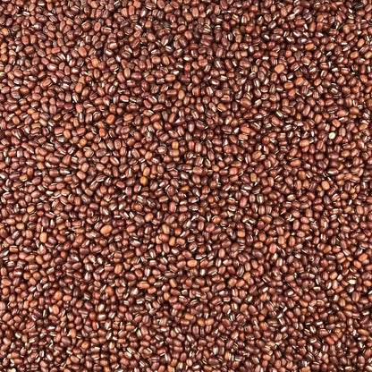 Judía Azuki Ecológica Granel 0,25 Kg_2