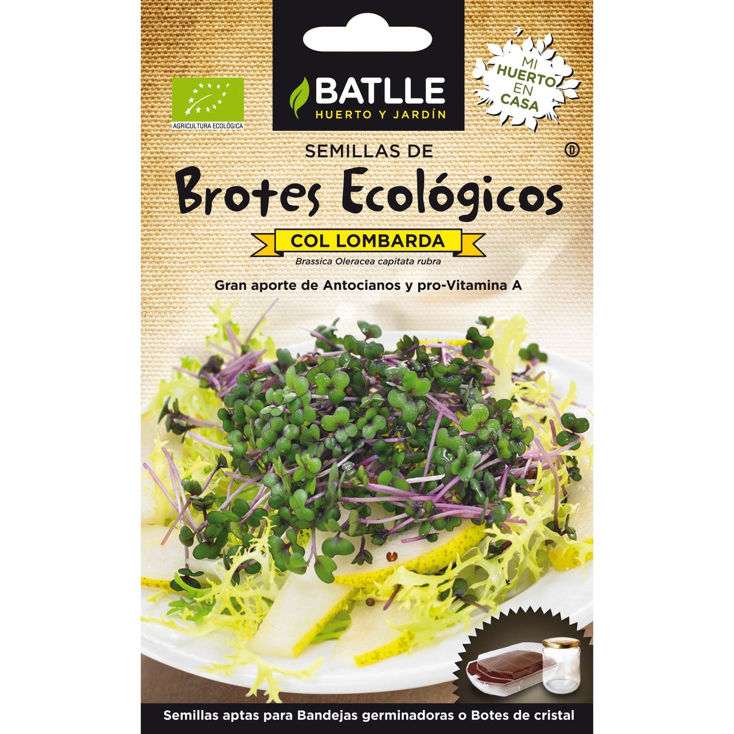 Sementes de rebentos de repolho roxo biológico Batlle