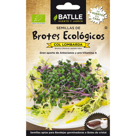 Sementes de rebentos de repolho roxo biológico Batlle