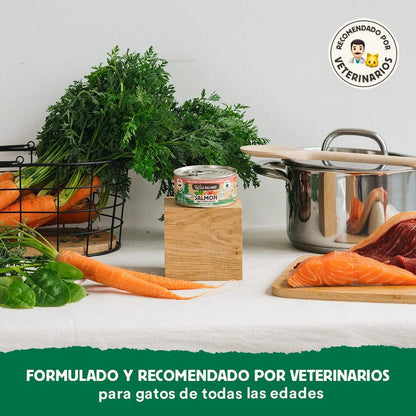 Wild Balance Salmão e Carne Barf Lata para Gatos 120g