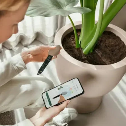 Assistente digital para o cuidado das plantas Elho Smart Pebble