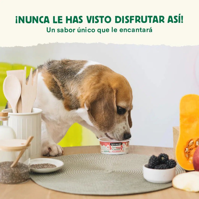 Wild Balance Frozen Yogurt para Cães e Gatos com Prebióticos Naturais 110g