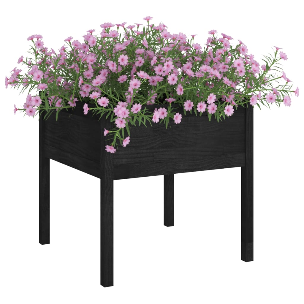 Jardineras 2 Uds Madera Maciza De Pino Negro 70x70x70 Cm_2