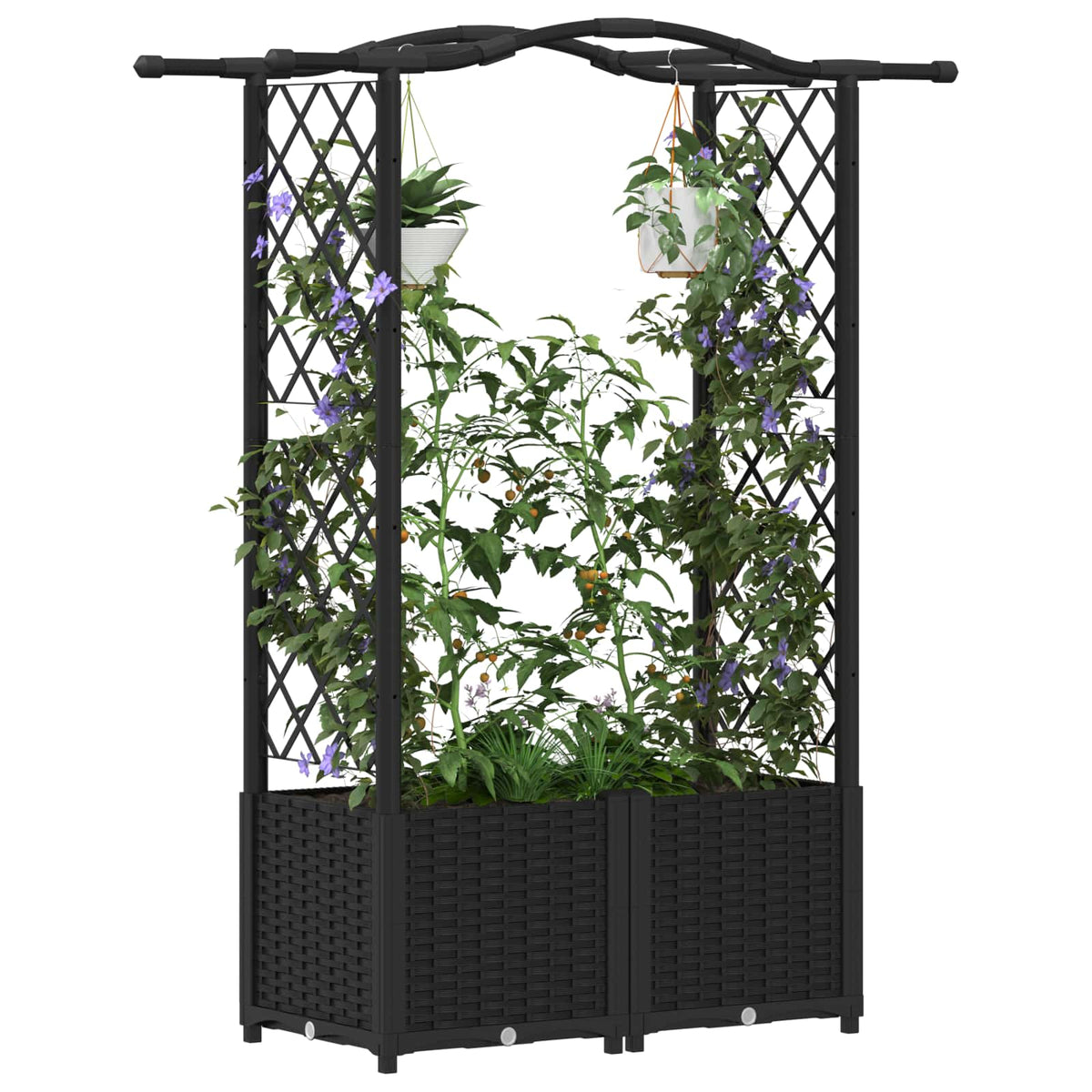 Cama Elevada Con Trellis Y Techo Negro 125 X 40 X 138 Cm Pp_2
