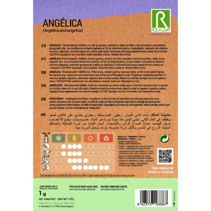 Sementes de Angélica