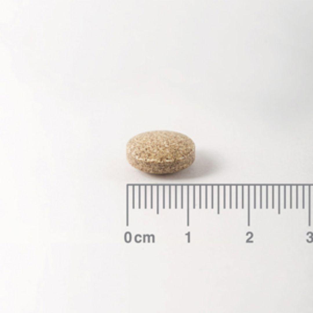 Ginkgo Biloba 6.000 mg