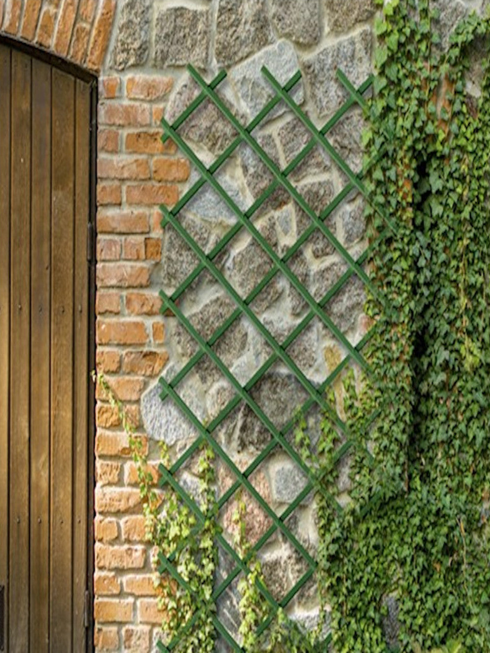 Celosia Plastica| Composicion 100% Pvc| Tutor De Plantas| Resistente| Decoracion Jardin 1x2m_2