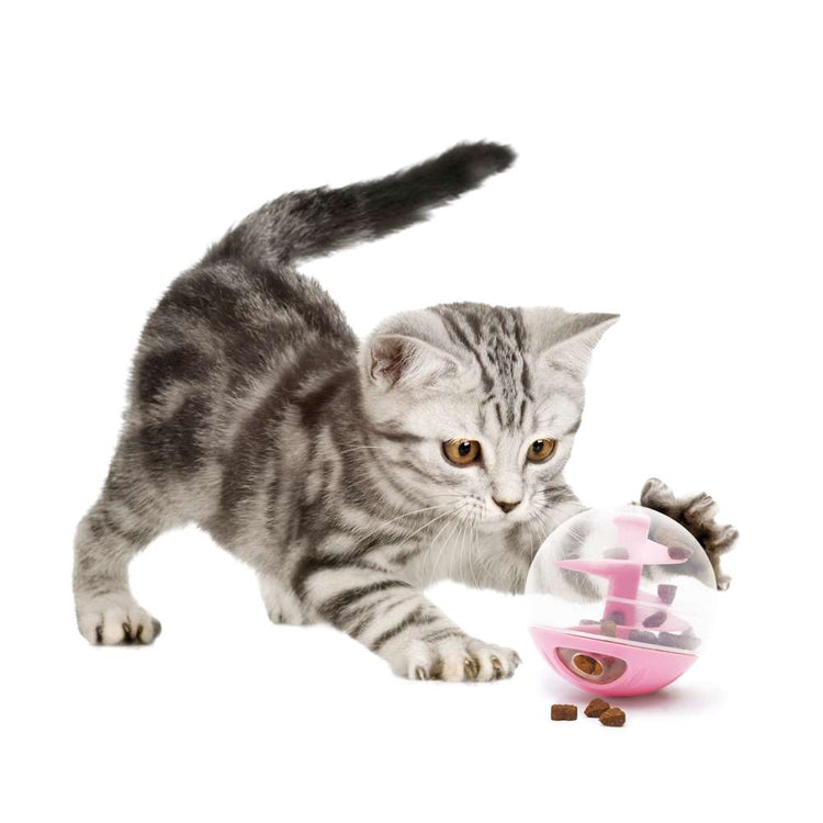 Bola dispensadora de snacks Catit Rosa