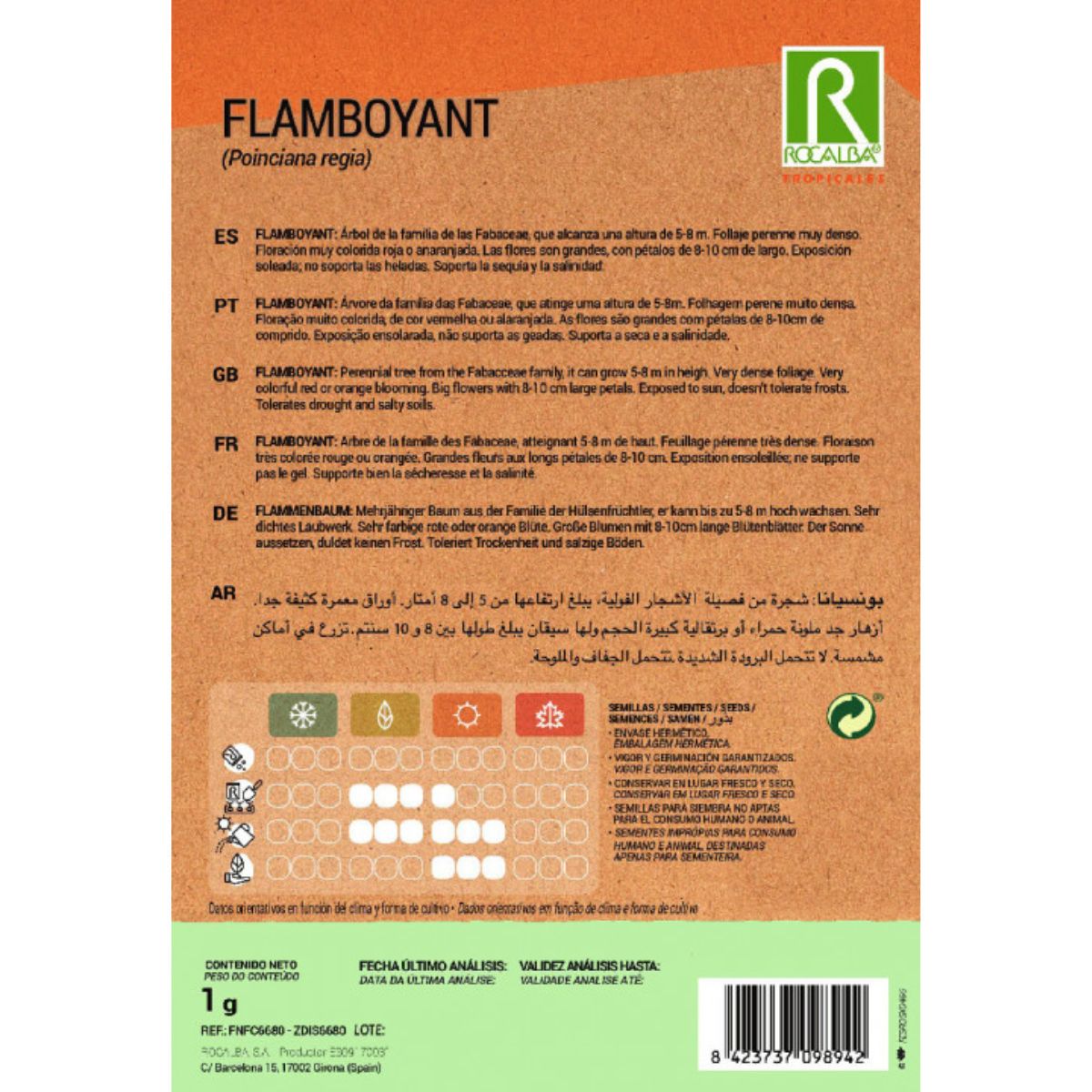 Sementes extravagantes de Ponciana régia