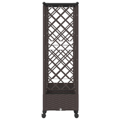 Cama Elevada Con Trellis Y Techo Marrón 203 X 40 X 127 Cm Pp_4