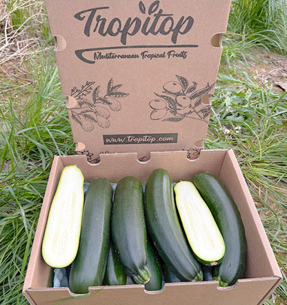 Caja De Calabacín Negro De Temporada Tropitop Caja De 9kg_1