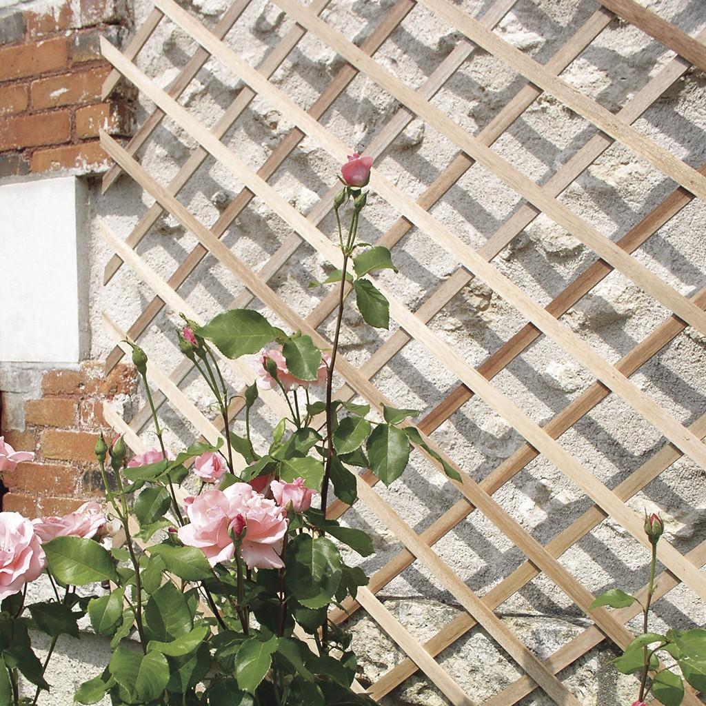 Trelliwood Nortene treliça extensível de madeira 1x2 m