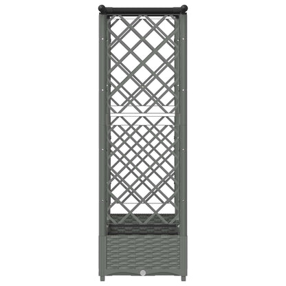 Cama Elevada Con Trellis Y Techo Gris Claro 164 X 40 X 121 Cm_4