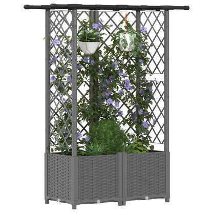 Cama Elevada Con Trellis Y Techo Gris Claro 124 X 40 X 136 Cm_2