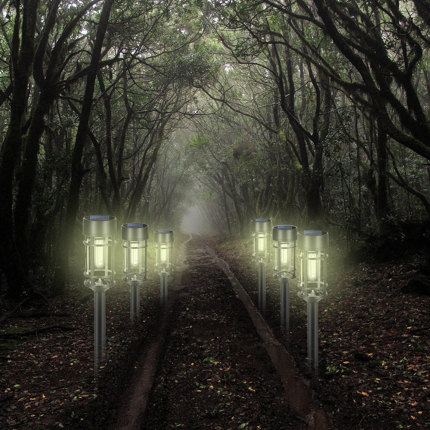 Well Home Luz Solar De Jardín Con Led Blanco Cálido Y Panel Policristalino Ø6x50cm_2