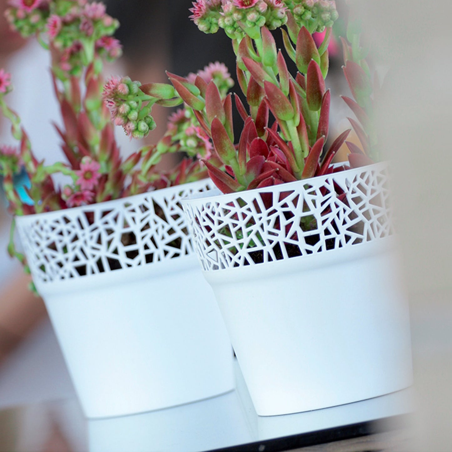 Maceta De Plastico Tree En Color Mocca 17,5 (largo) X 17,5 (ancho) X 17,9 (alto) Cm