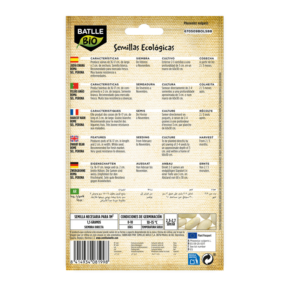 Sementes de feijão anão Roma Perona biológico Batlle