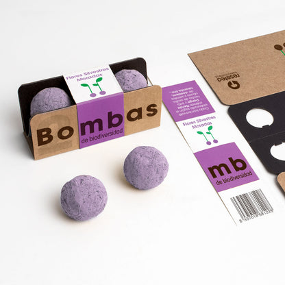 Bombas De Biodiversidad (flores Silvestres Moradas)_1