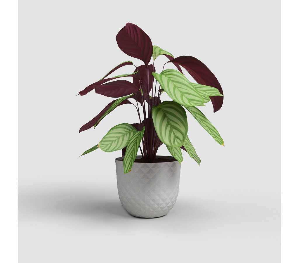 Artevasi Macetero Havana Tropical Gris De Plástico Reciclado 40cm_1