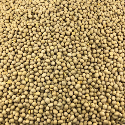 Soja Amarilla Ecológica Granel 25 Kg_2