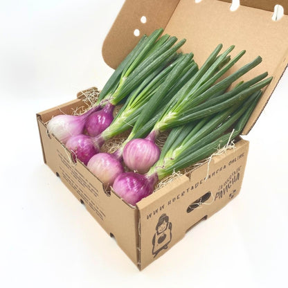 Cebollas Moradas De La Huerta De Pancha 1/2 Kg_1