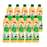 Embalagem de 10 placas de cerâmica Frosch laranja 500 ml