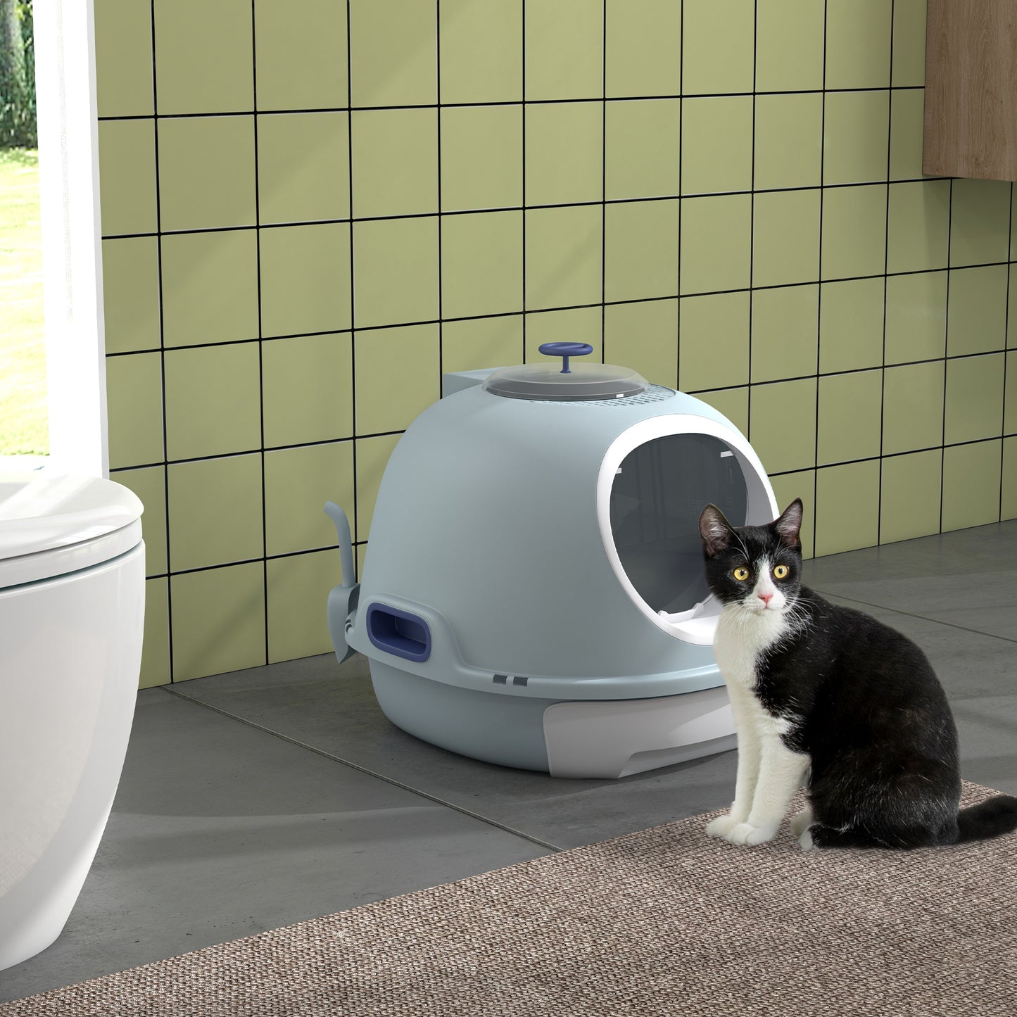 Pawhut Caja De Arena Para Gatos Con Claraboya Bandeja Extraíble Pala 47x55x44 Cm_1